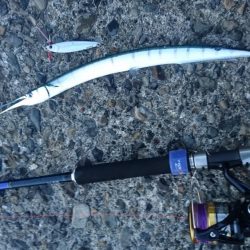 新装備の様子見がてら