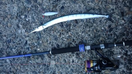 新装備の様子見がてら