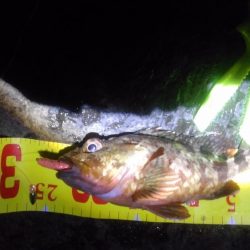 台風前の弾丸釣行