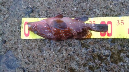 なんとか30アップ！