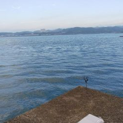 アオリイカ ヤエン釣り