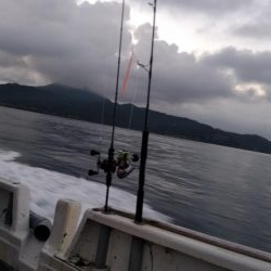 オフショアジギング