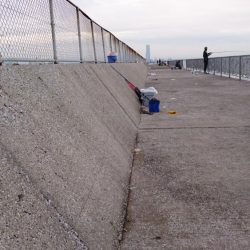 またタチウオ貝塚遠征