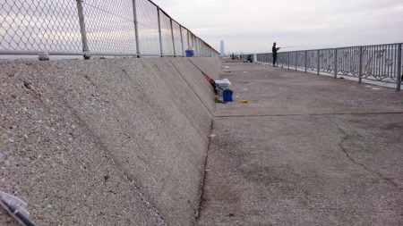 またタチウオ貝塚遠征