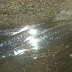 太刀魚釣れたんかなぁ～っ