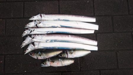 タチウオ釣行 中潮に期待