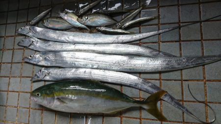 タチウオとハマチと小魚