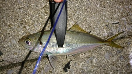 サーフアジング