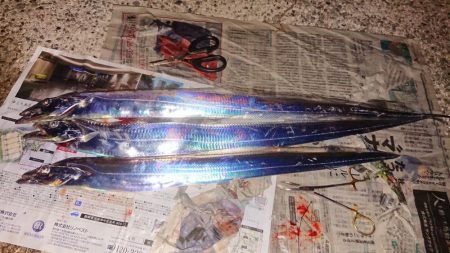 タチウオフィーバー