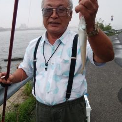 境水道で五目釣り