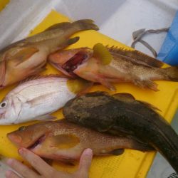 二馬力ボートでタイラバ