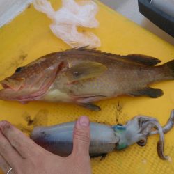 二馬力ボート釣行