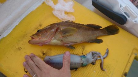 二馬力ボート釣行