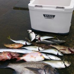 二馬力ボートで五目釣り