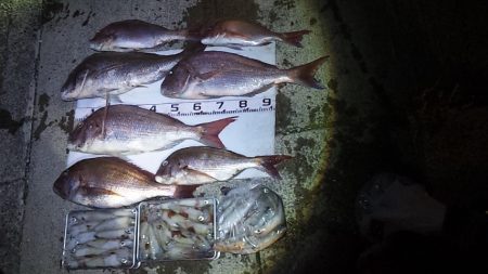 泳がせで初大鯛ゲット~~