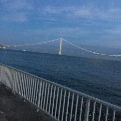 エギングのはずが…