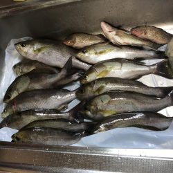 フィッシング隼さんカセ釣りにて