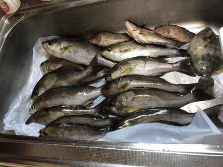 フィッシング隼さんカセ釣りにて