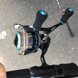 どこも人のわりにはしぶい感じ