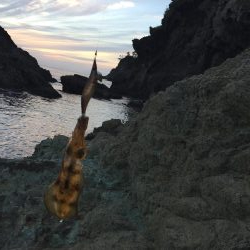 強風荒波なんのその