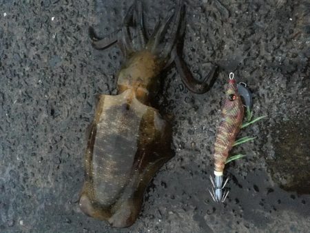 今日しかない・・・