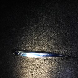 今年初  太刀、抜刀解禁