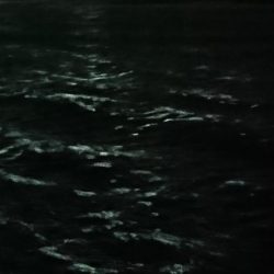 アオリイカ撃沈