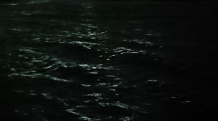 アオリイカ撃沈