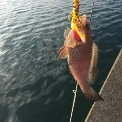 なぶらが・・・