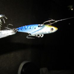 台風前の最終釣行