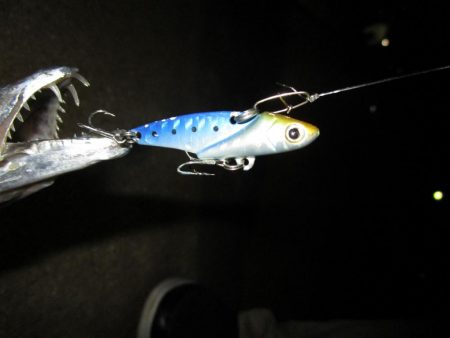 台風前の最終釣行