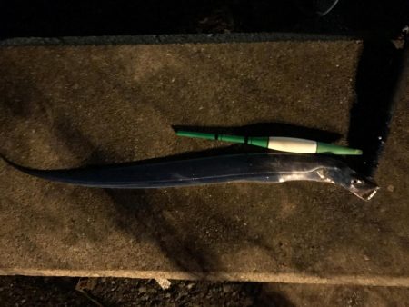 タチウオ釣行台風後