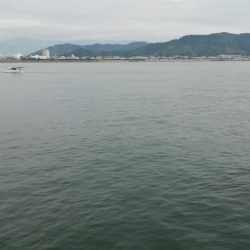 ライトショアジギング