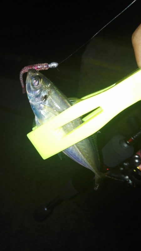 ナイトあーじ＆たーちー