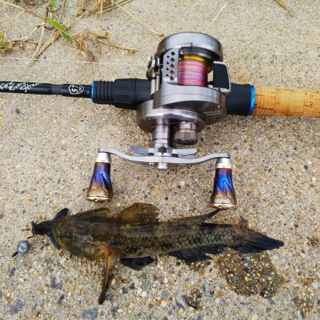 14号地でロックフィッシュ