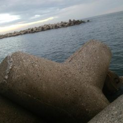 超激濁りの中、アオリ1杯