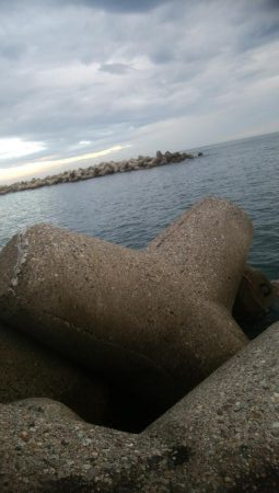 超激濁りの中、アオリ1杯