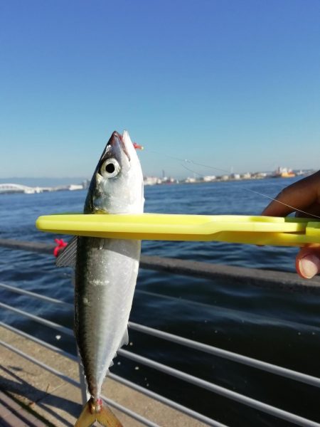 再び台風前に❗
