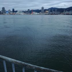 タチウオだめでした