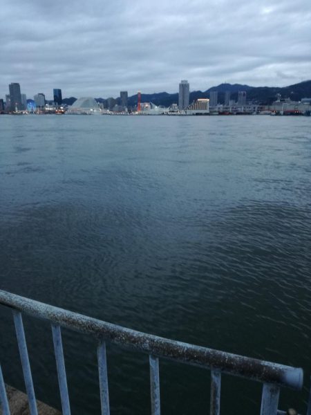 タチウオだめでした