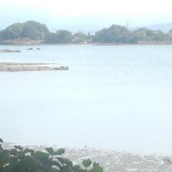 ｷｽ釣れました！