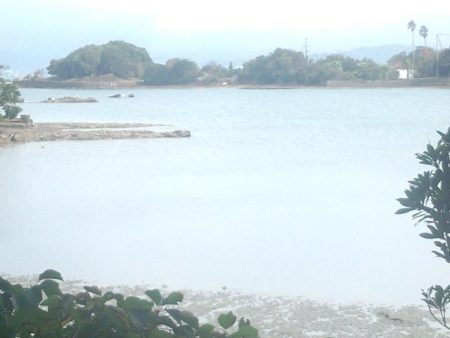 ｷｽ釣れました！