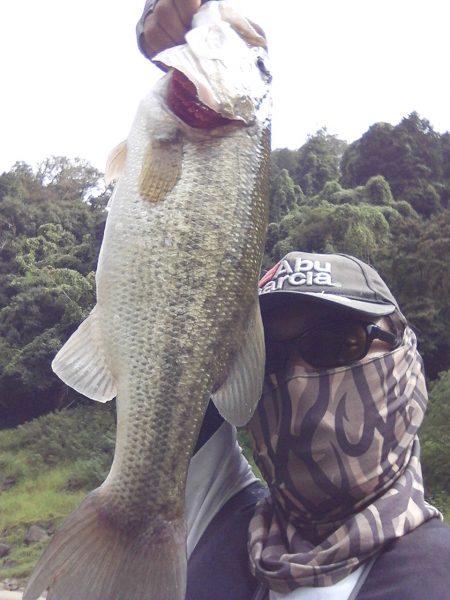 水温急低下ですがバスの食い気はあります。