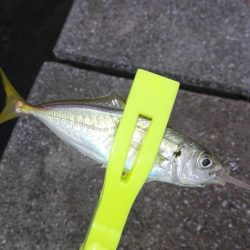 あーじアイエヌジー