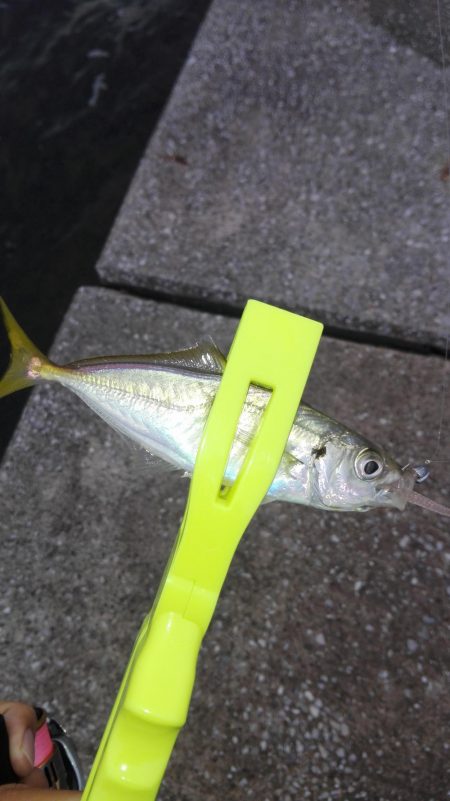 あーじアイエヌジー