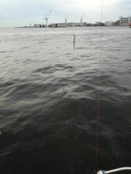 タチウオハマチねらい