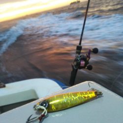 明石渋い青物…