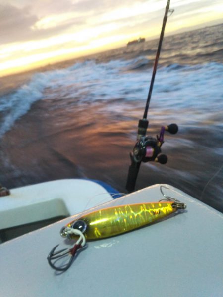 明石渋い青物…