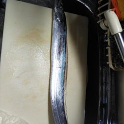 エサには勝てんなぁ。