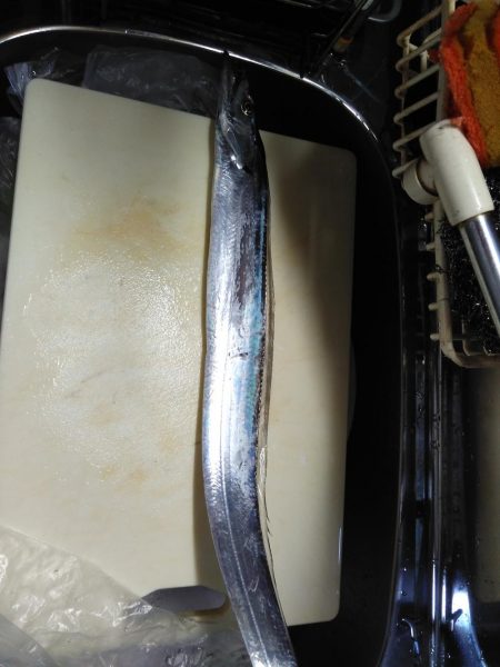 エサには勝てんなぁ。